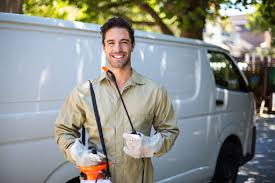 Best Termite Inspection and Treatment  in New Orleans, LA